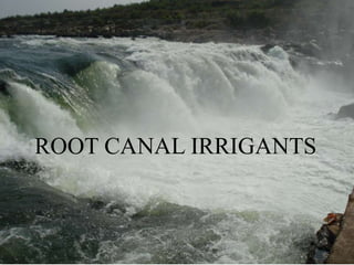 ROOT CANAL IRRIGANTS
 