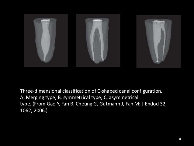 C shaped canal pdf merge