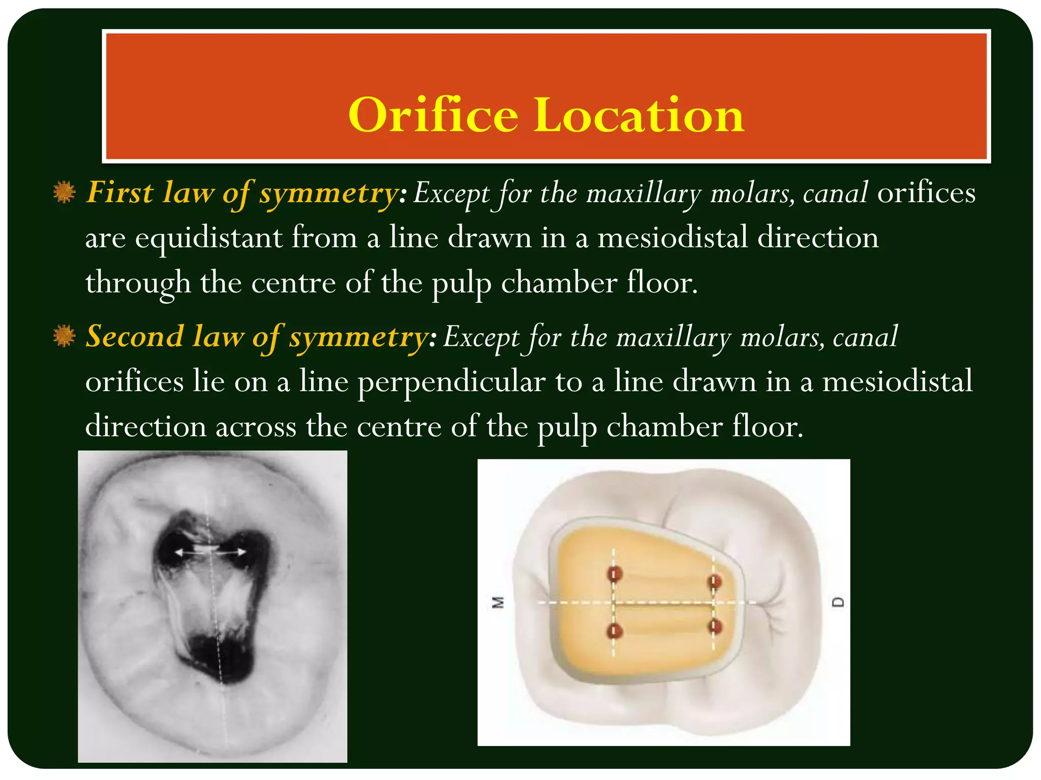 ROOT CANAL PROCEDURE.pdf