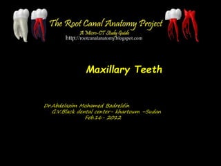 http://rootcanalanatomy.blogspot.com
Maxillary Teeth
Dr.Abdelazim Mohamed Badreldin
G.V.Black dental center- khartoum –Sudan
Feb.16- 2012
 