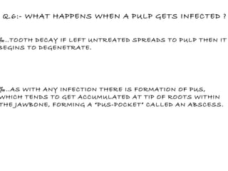‰ ..TOOTH DECAY IF LEFT UNTREATED SPREADS TO PULP THEN IT  BEGINS TO DEGENETRATE. ‰ ..AS WITH ANY INFECTION THERE IS FORMATION OF PUS, WHICH TENDS TO GET ACCUMULATED AT TIP OF ROOTS WITHIN THE JAWBONE, FORMING A “PUS-POCKET” CALLED AN ABSCESS. Q.6:- WHAT HAPPENS WHEN A PULP GETS INFECTED ? 