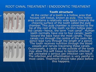 ROOT CANAL TREATMENT / ENDODONTIC TREATMENT Tooth structure At the center of a  tooth  is a hollow area that houses soft tissue, known as  pulp . This hollow area contains a relatively wide space towards the chewing surface of the tooth called the pulp chamber. This pulp chamber is connected to the tip of the root of the tooth via thin hollow pipe-like canals—hence, the term &quot;root canal&quot;. Human teeth normally have one to four canals; teeth toward the back have the most canals. These canals run through the centre of the roots like pencil lead runs through the length of a pencil. The tooth receives nutrition through the blood vessels and nerves traversing these canals. Occasionally, a cavity on the outside of the tooth may allow this soft tissue to become infected. If left untreated a serious jaw infection can result. The infection and inflammation is very painful in most cases. Treatment should take place before this happens. 