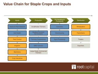 Root Capital | PDF