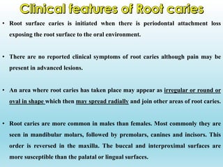 • Root surface caries is initiated when there is periodontal attachment loss
exposing the root surface to the oral environment.
• There are no reported clinical symptoms of root caries although pain may be
present in advanced lesions.
• An area where root caries has taken place may appear as irregular or round or
oval in shape which then may spread radially and join other areas of root caries.
• Root caries are more common in males than females. Most commonly they are
seen in mandibular molars, followed by premolars, canines and incisors. This
order is reversed in the maxilla. The buccal and interproximal surfaces are
more susceptible than the palatal or lingual surfaces.
 