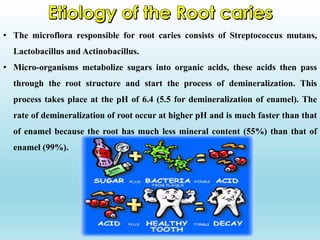 • The microflora responsible for root caries consists of Streptococcus mutans,
Lactobacillus and Actinobacillus.
• Micro-organisms metabolize sugars into organic acids, these acids then pass
through the root structure and start the process of demineralization. This
process takes place at the pH of 6.4 (5.5 for demineralization of enamel). The
rate of demineralization of root occur at higher pH and is much faster than that
of enamel because the root has much less mineral content (55%) than that of
enamel (99%).
 