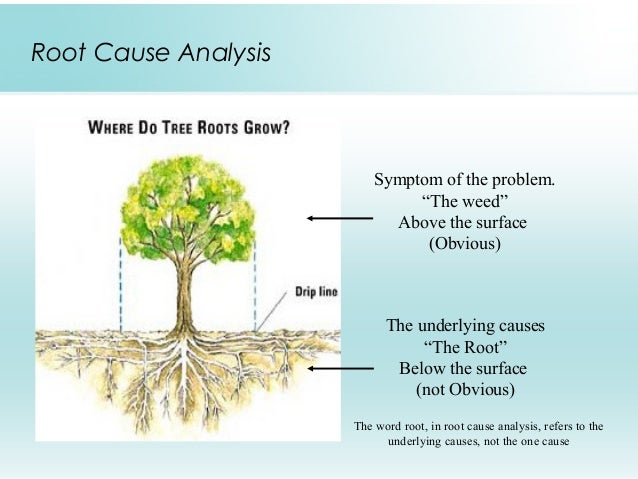 Word problem solving steps