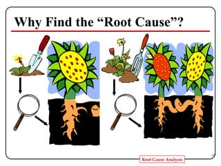 Why Find the “Root Cause”? 