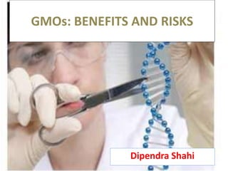 GMOs: BENEFITS AND RISKS
Dipendra Shahi
 