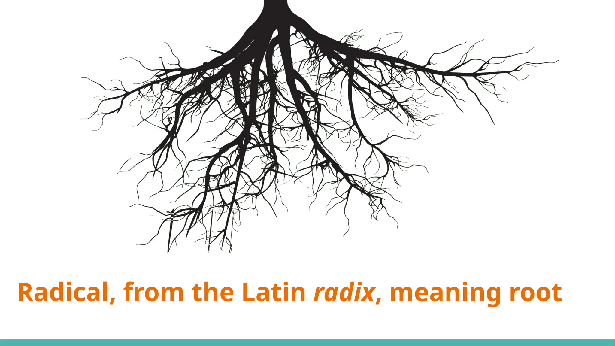 Radical, from the Latin radix, meaning root
 