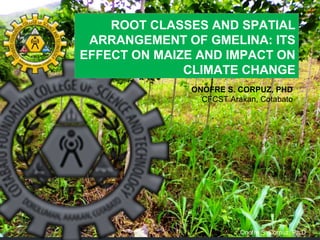 ROOT CLASSES AND SPATIAL
ARRANGEMENT OF GMELINA: ITS
EFFECT ON MAIZE AND IMPACT ON
CLIMATE CHANGE
ONOFRE S. CORPUZ, PHD
CFCST Arakan, Cotabato

Onofre S. Corpuz, Ph.D

 