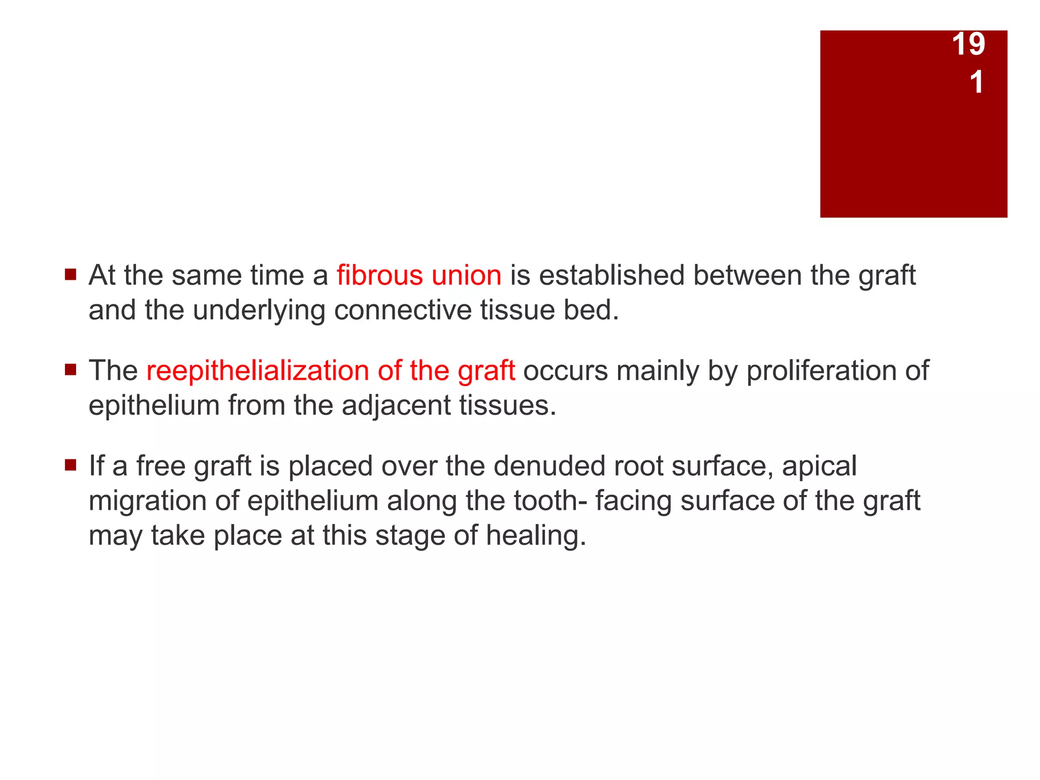  At the same time a fibrous union is established between the graft
and the underlying connective tissue bed.
 The reepithelialization of the graft occurs mainly by proliferation of
epithelium from the adjacent tissues.
 If a free graft is placed over the denuded root surface, apical
migration of epithelium along the tooth- facing surface of the graft
may take place at this stage of healing.
19
1
 