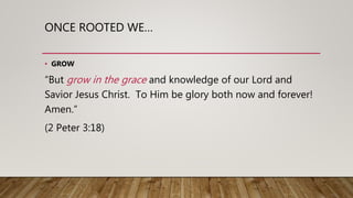 ONCE ROOTED WE…
• GROW
“But grow in the grace and knowledge of our Lord and
Savior Jesus Christ. To Him be glory both now and forever!
Amen.”
(2 Peter 3:18)
 