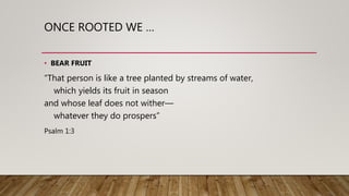 ONCE ROOTED WE …
• BEAR FRUIT
“That person is like a tree planted by streams of water,
which yields its fruit in season
and whose leaf does not wither—
whatever they do prospers”
Psalm 1:3
 