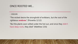 ONCE ROOTED WE…
• ENDURE:
“The wicked desire the stronghold of evildoers, but the root of the
righteous endures.” (Proverbs 12:12)
“But the plants soon wilted under the hot sun, and since they didn't
have deep roots, they died” (Matthew 13:6)
 