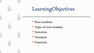 Root excudates and their role in nutrition | PPTX