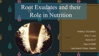 Root Exudates and their
Role in Nutrition
PABOLU TEJASREE
M.Sc 1 st year
BAM-20-27
Dept of GPBR
Agricultural College , Bapatla
 