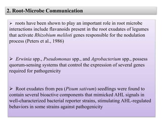 2. Root-Microbe Communication
 roots have been shown to play an important role in root microbe
interactions include flavanoids present in the root exudates of legumes
that activate Rhizobium meliloti genes responsible for the nodulation
process (Peters et al., 1986)
 Erwinia spp., Pseudomonas spp., and Agrobacterium spp., possess
quorum-sensing systems that control the expression of several genes
required for pathogenicity
 Root exudates from pea (Pisum sativum) seedlings were found to
contain several bioactive components that mimicked AHL signals in
well-characterized bacterial reporter strains, stimulating AHL-regulated
behaviors in some strains against pathogenicity
 