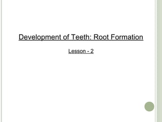 Development of Teeth: Root Formation
              Lesson - 2
 