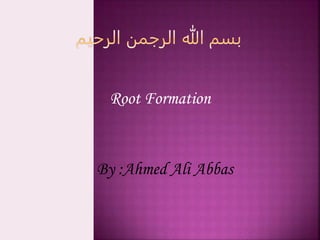 Root Formation
By :Ahmed Ali Abbas
 