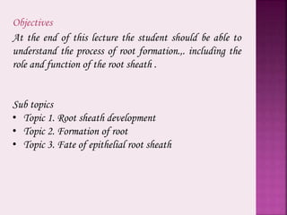 Objectives
At the end of this lecture the student should be able to
understand the process of root formation.,. including the
role and function of the root sheath .
Sub topics
• Topic 1. Root sheath development
• Topic 2. Formation of root
• Topic 3. Fate of epithelial root sheath
 
