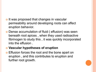  It was proposed that changes in vascular
permeability around developing roots can affect
eruption behavior.
 Dense accumulation of fluid ( effusion) was seen
beneath root apices , when they used radioactive
fibrinogen to study this , it was quickly incorporated
into the effusion .
 Vascular hypotheses of eruption
 Effusion forces the root and the bone apart on
eruption , and this contributes to eruption and
further root growth.
 