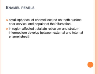 ENAMEL PEARLS
 small spherical of enamel located on tooth surface
near cervical end popular at the bifurcation,
 in region affected : stallate reticulum and stratum
intermedium develop between external and internal
enamel sheath
 