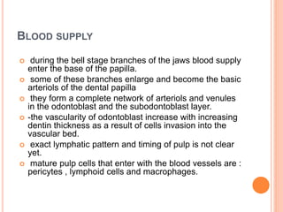 BLOOD SUPPLY
 during the bell stage branches of the jaws blood supply
enter the base of the papilla.
 some of these branches enlarge and become the basic
arteriols of the dental papilla
 they form a complete network of arteriols and venules
in the odontoblast and the subodontoblast layer.
 -the vascularity of odontoblast increase with increasing
dentin thickness as a result of cells invasion into the
vascular bed.
 exact lymphatic pattern and timing of pulp is not clear
yet.
 mature pulp cells that enter with the blood vessels are :
pericytes , lymphoid cells and macrophages.
 