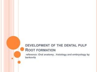 DEVELOPMENT OF THE DENTAL PULP
ROOT FORMATION
reference :Oral anatomy , histology and embryology by
berkovitz
 