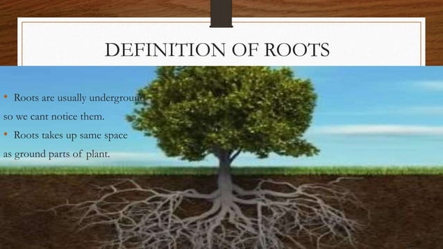 Root hair cells science-botony | PPTX