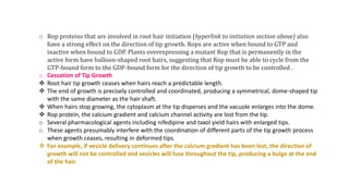 o Rop proteins that are involved in root hair initiation (hyperlink to initiation section above) also
have a strong effect on the direction of tip growth. Rops are active when bound to GTP and
inactive when bound to GDP. Plants overexpressing a mutant Rop that is permanently in the
active form have balloon-shaped root hairs, suggesting that Rop must be able to cycle from the
GTP-bound form to the GDP-bound form for the direction of tip growth to be controlled .
o Cessation of Tip Growth
 Root hair tip growth ceases when hairs reach a predictable length.
 The end of growth is precisely controlled and coordinated, producing a symmetrical, dome-shaped tip
with the same diameter as the hair shaft.
 When hairs stop growing, the cytoplasm at the tip disperses and the vacuole enlarges into the dome.
 Rop protein, the calcium gradient and calcium channel activity are lost from the tip.
o Several pharmacological agents including nifedipine and taxol yield hairs with enlarged tips.
o These agents presumably interfere with the coordination of different parts of the tip growth process
when growth ceases, resulting in deformed tips.
 For example, if vesicle delivery continues after the calcium gradient has been lost, the direction of
growth will not be controlled and vesicles will fuse throughout the tip, producing a bulge at the end
of the hair.
 