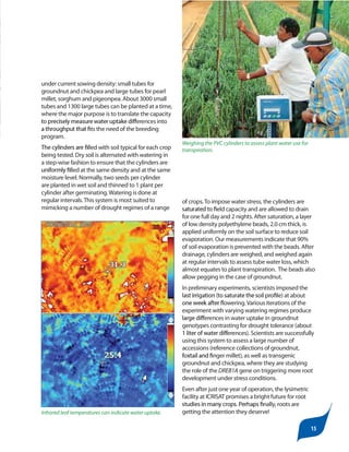 Rooting around for answers