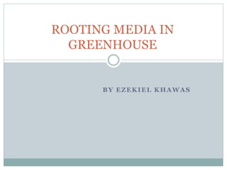 BY EZEKIEL KHAWAS
ROOTING MEDIA IN
GREENHOUSE
 