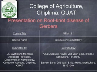 College of Agriculture,
Chiplima, OUAT
Presentation on Root-knot disease of
Gerbera
Course Title NEM-121
Course Name Introductory Nematology
Submitted to:
Dr. Swatilekha Mohanta
Associate Professor,
Department of Nematology,
College of Agricure, Chiplima,
OUAT
Submitted by:
Anup Aurojyoti Nayak, 2nd year, B.Sc. (Hons.)
Agriculture, 18131039
Satyam Sahu, 2nd year, B.Sc. (Hons.) Agriculture,
18131040
 