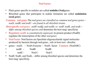 Nodulation Factor Root-Microbe Interactions: Symbiosis, Nutrient Uptake, and Plant Growth ...