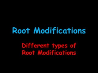 Root Modifications
  Different types of
  Root Modifications
 