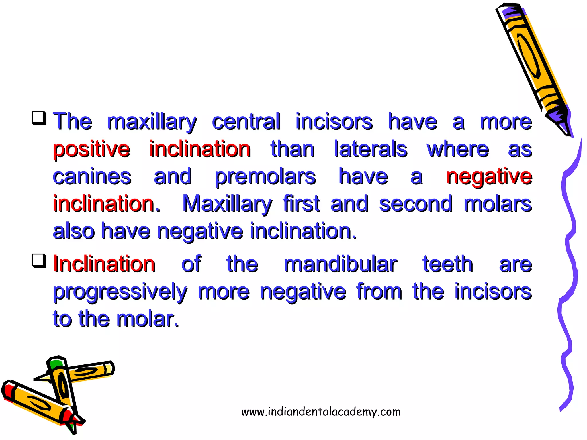  The maxillary central incisors have a moreThe maxillary central incisors have a more
positive inclinationpositive inclination than laterals where asthan laterals where as
canines and premolars have acanines and premolars have a negativenegative
inclinationinclination. Maxillary first and second molars. Maxillary first and second molars
also have negative inclination.also have negative inclination.
 InclinationInclination of the mandibular teeth areof the mandibular teeth are
progressively more negative from the incisorsprogressively more negative from the incisors
to the molar.to the molar.
www.indiandentalacademy.com
 
