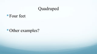 Quadruped

 Four feet
 Other examples?

 