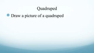 Quadruped

Draw a picture of a quadruped

 