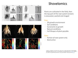 Root Ph Root phenotyping | PPTX