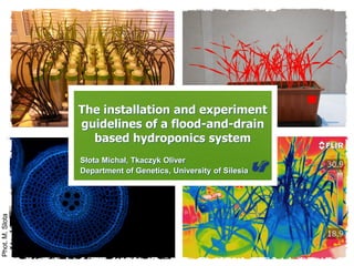The installation and experiment
guidelines of a flood-and-drain
based hydroponics system
Słota Michał, Tkaczyk Oliver
Department of Genetics, University of Silesia
Phot.M.Slota
 