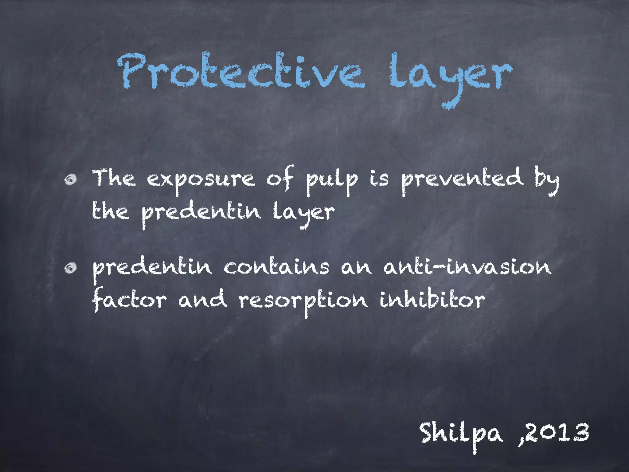 Protective layer 
The exposure of pulp is prevented by 
the predentin layer 
predentin contains an anti-invasion 
factor and resorption inhibitor 
Shilpa ,2013 
 