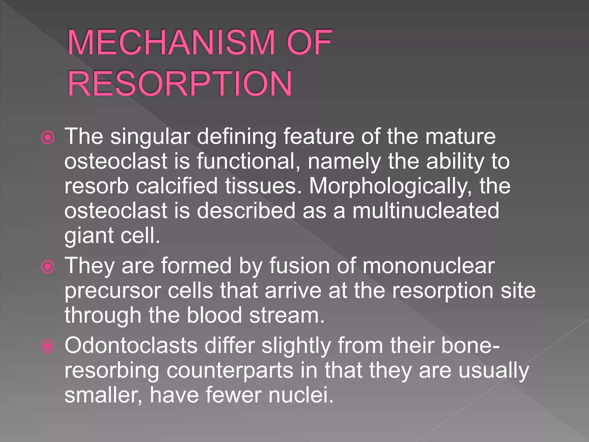  The singular defining feature of the mature
osteoclast is functional, namely the ability to
resorb calcified tissues. Morphologically, the
osteoclast is described as a multinucleated
giant cell.
 They are formed by fusion of mononuclear
precursor cells that arrive at the resorption site
through the blood stream.
 Odontoclasts differ slightly from their bone-
resorbing counterparts in that they are usually
smaller, have fewer nuclei.
 