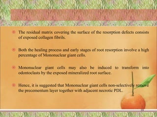  The residual matrix covering the surface of the resorption defects consists
of exposed collagen fibrils.
 Both the healing process and early stages of root resorption involve a high
percentage of Mononuclear giant cells.
 Mononuclear giant cells may also be induced to transform into
odontoclasts by the exposed mineralized root surface.
 Hence, it is suggested that Mononuclear giant cells non-selectively remove
the precementum layer together with adjacent necrotic PDL.
19
 