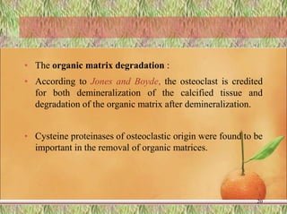 • The organic matrix degradation :
• According to Jones and Boyde, the osteoclast is credited
for both demineralization of the calcified tissue and
degradation of the organic matrix after demineralization.
• Cysteine proteinases of osteoclastic origin were found to be
important in the removal of organic matrices.
20
 