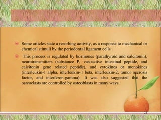  Some articles state a resorbing activity, as a response to mechanical or
chemical stimuli by the periodontal ligament cells.
 This process is regulated by hormones (parathyroid and calcitonin),
neurotransmitters (substance P, vasoactive intestinal peptide, and
calcitonin gene related peptide), and cytokines or monokines
(interleukin-1 alpha, interleukin-1 beta, interleukin-2, tumor necrosis
factor, and interferon-gamma). It was also suggested that the
osteoclasts are controlled by osteoblasts in many ways.
21
 