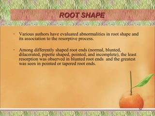 ROOT SHAPE
• Various authors have evaluated abnormalities in root shape and
its association to the resorptive process.
• Among differently shaped root ends (normal, blunted,
dilacerated, pipette shaped, pointed, and incomplete), the least
resorption was observed in blunted root ends and the greatest
was seen in pointed or tapered root ends.
50
 