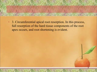 • 3. Circumferential apical root resorption. In this process,
full resorption of the hard tissue components of the root
apex occurs, and root shortening is evident.
8
 