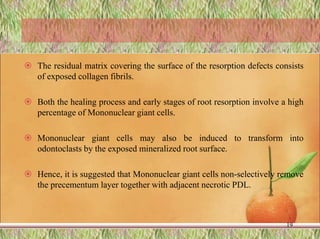  The residual matrix covering the surface of the resorption defects consists
of exposed collagen fibrils.
 Both the healing process and early stages of root resorption involve a high
percentage of Mononuclear giant cells.
 Mononuclear giant cells may also be induced to transform into
odontoclasts by the exposed mineralized root surface.
 Hence, it is suggested that Mononuclear giant cells non-selectively remove
the precementum layer together with adjacent necrotic PDL.
19
 