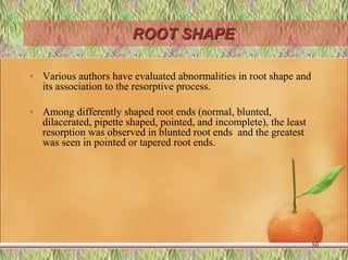 ROOT SHAPE
• Various authors have evaluated abnormalities in root shape and
its association to the resorptive process.
• Among differently shaped root ends (normal, blunted,
dilacerated, pipette shaped, pointed, and incomplete), the least
resorption was observed in blunted root ends and the greatest
was seen in pointed or tapered root ends.
50
 
