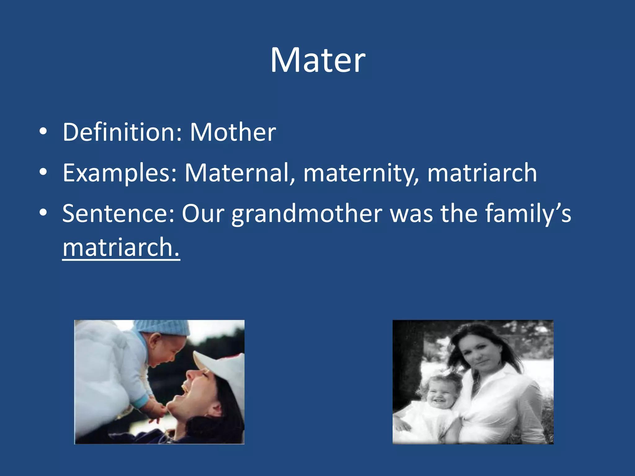 Rootr word ppt | PPTX